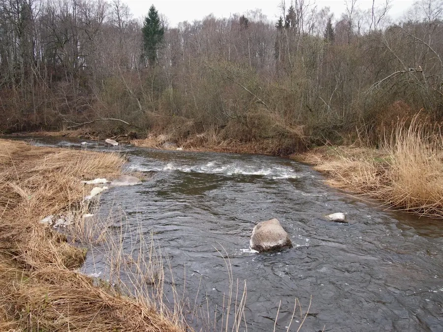 Kražantė