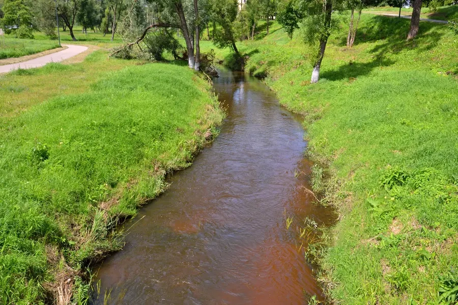 Vyžuona (Šventoji)